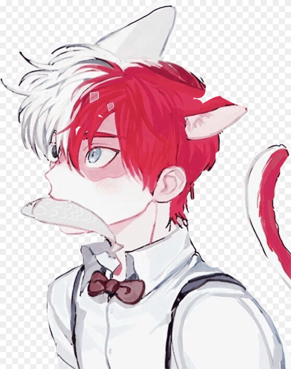 Neko Nekoboy Animeboy Anime Boy Catboy Cat Kitty Tododeku Kiribaku Free Png