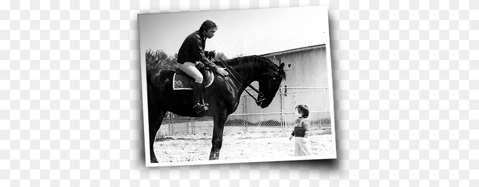 Nelson And Rodrigo Pessoa Rodrigo Pessoa And Nelson Pessoa, Adult, Andalusian Horse, Animal, Baby Png