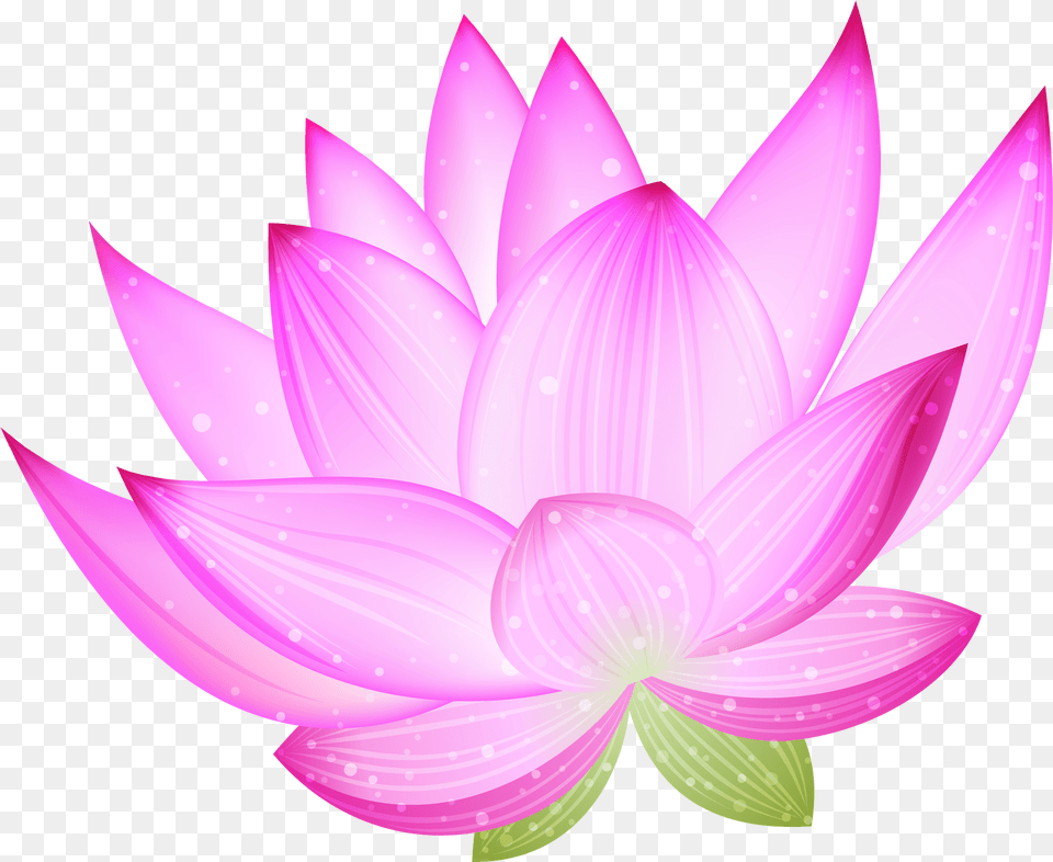 Nelumbo Nucifera Clip Art Lotus Clipart, Dahlia, Flower, Petal, Plant Free Png