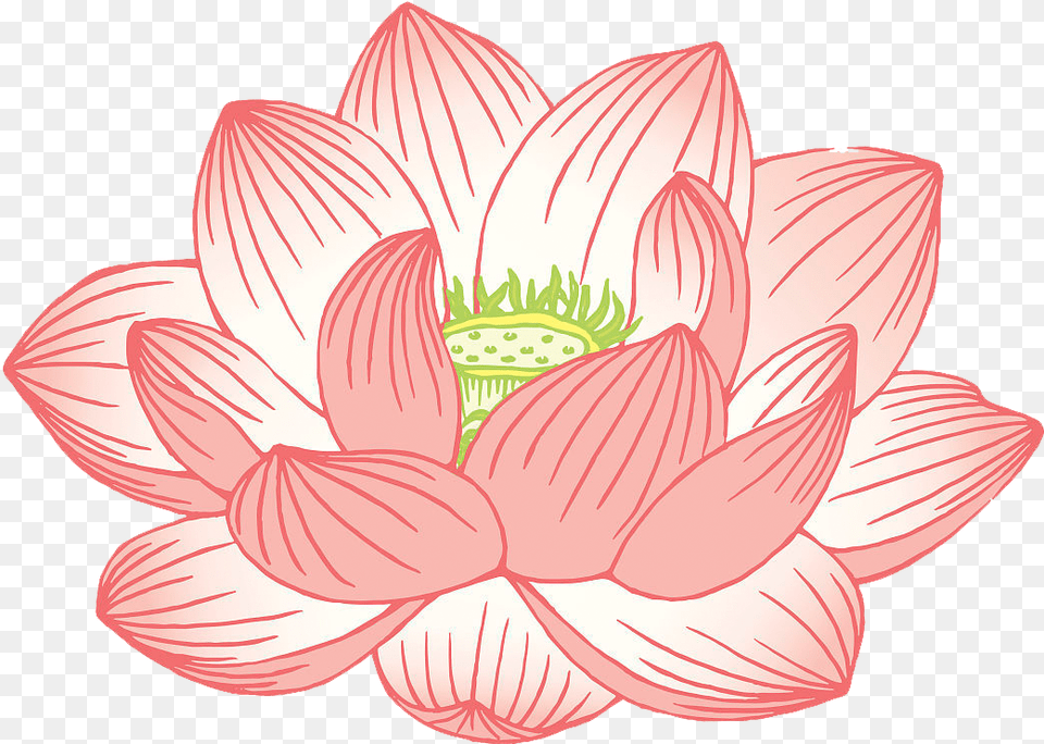 Nelumbo Nucifera Egyptian Illustration Lotus Illustration, Dahlia, Flower, Petal, Plant Free Transparent Png