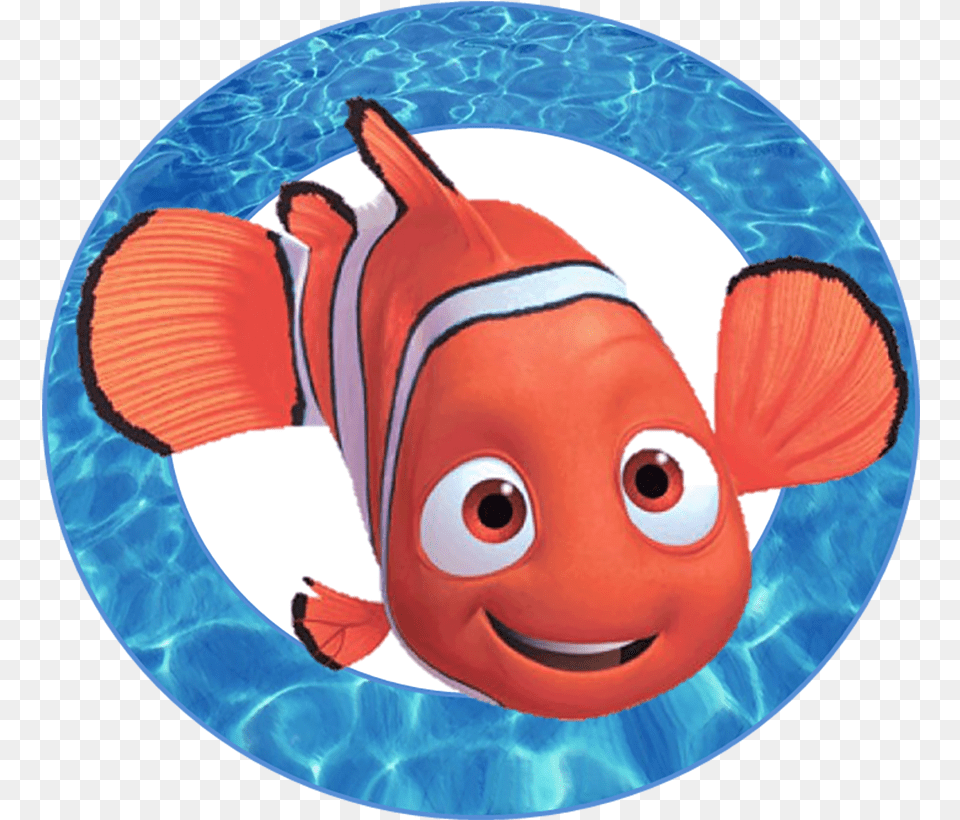 Nemo, Animal, Sea Life, Fish, Amphiprion Free Png