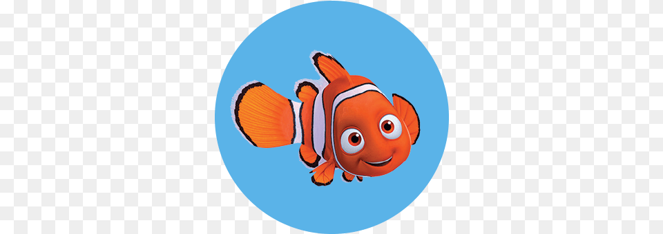 Nemo Circle Kelloggs Disney Finding Nemo Fruit Snacks 10 Ct 8 Oz, Animal, Fish, Sea Life, Amphiprion Free Png Download