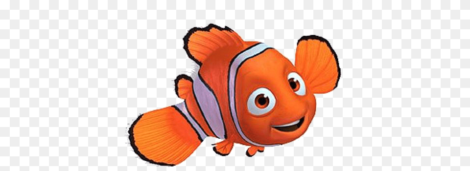 Nemo Clip Art Clipart Images, Amphiprion, Animal, Fish, Sea Life Free Transparent Png