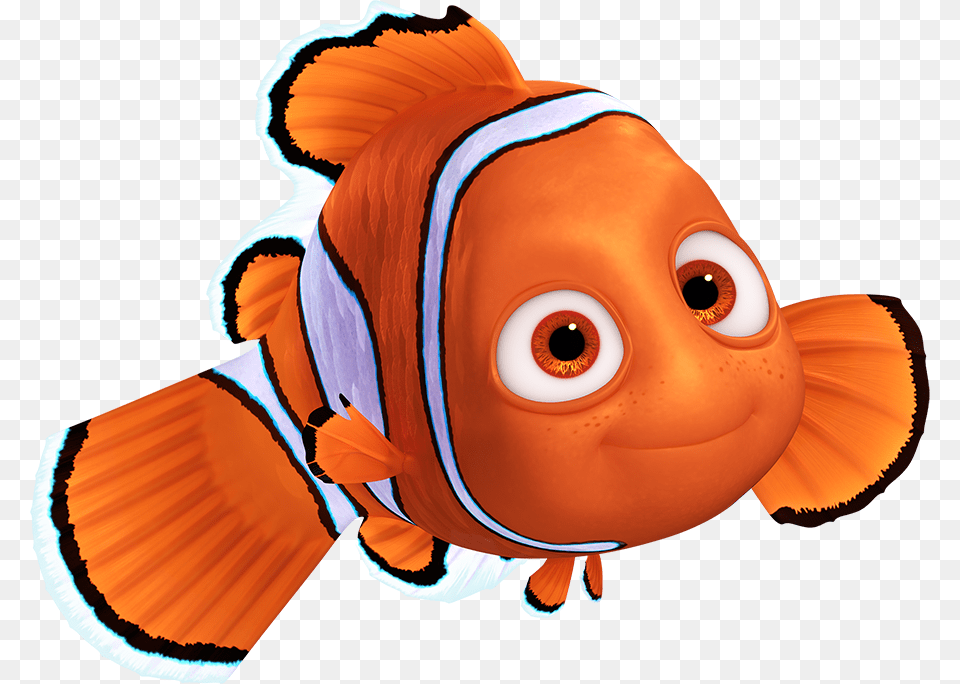 Nemo Clipart, Animal, Fish, Sea Life, Amphiprion Png