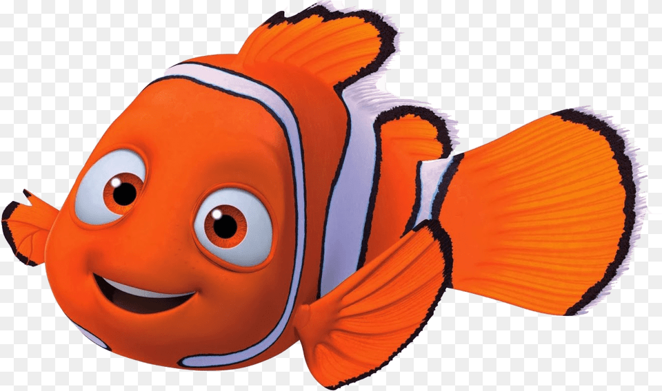 Nemo Close Up Transparent Nemo, Amphiprion, Animal, Fish, Sea Life Free Png