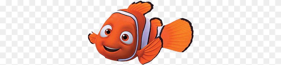 Nemo Hd Nemo, Amphiprion, Animal, Fish, Sea Life Png Image