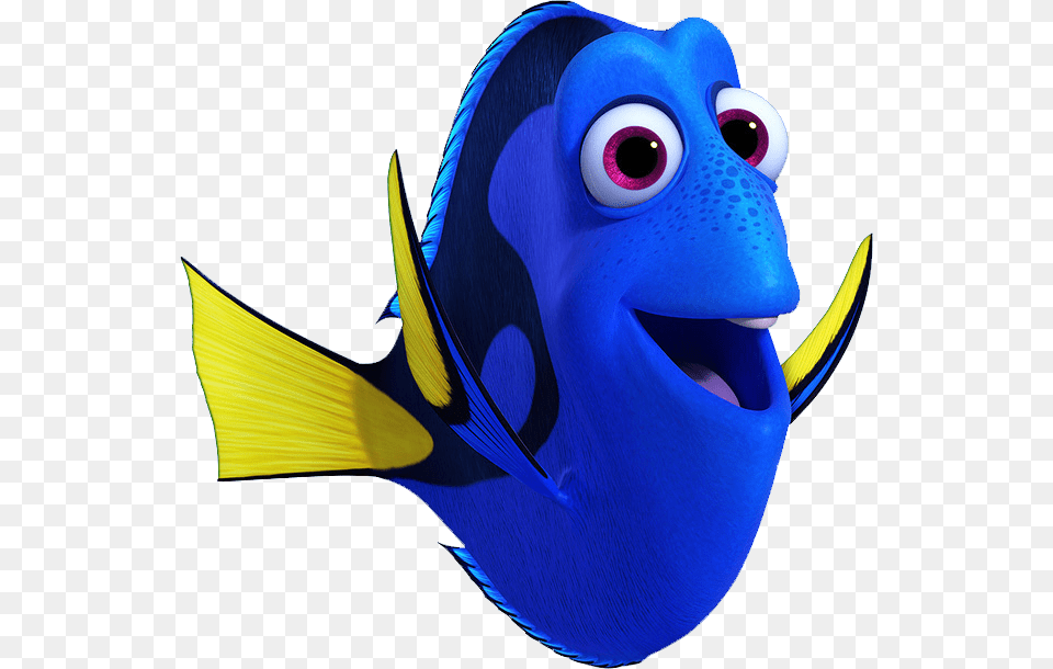 Nemo Transparent Image, Animal, Fish, Sea Life, Angelfish Free Png Download