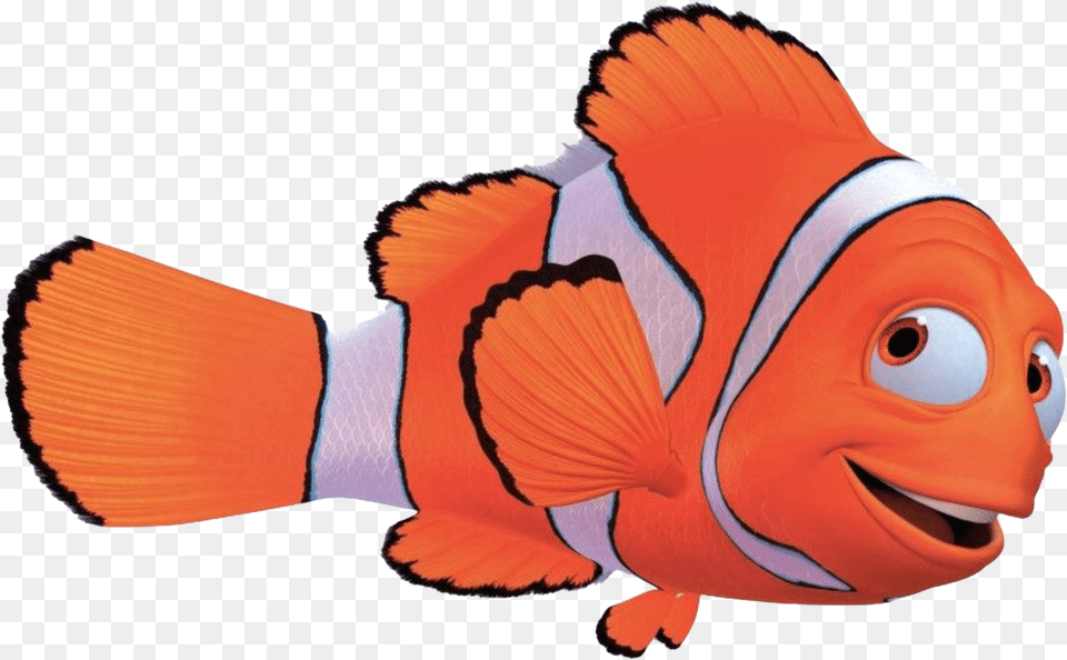 Nemo Marlin Nemo Background, Amphiprion, Animal, Fish, Sea Life Free Transparent Png