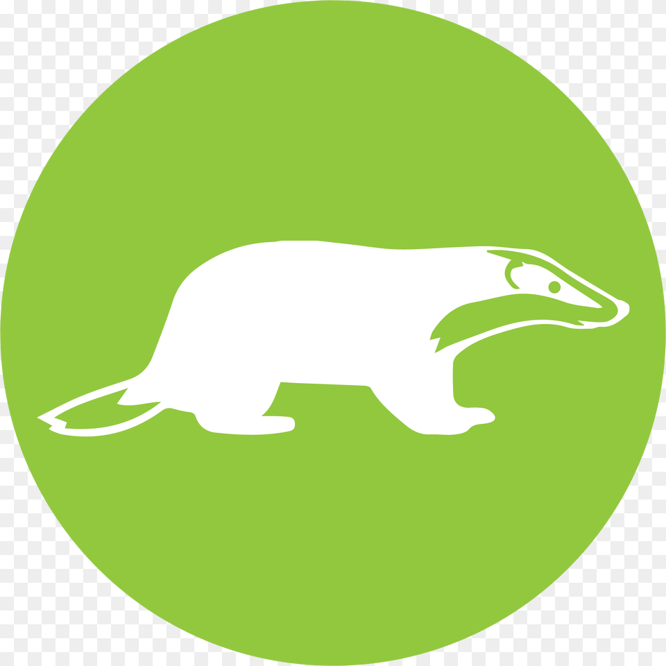 Neo Environmental Ltd Download Java Spring Logo, Animal, Outdoors, Night, Nature Free Transparent Png
