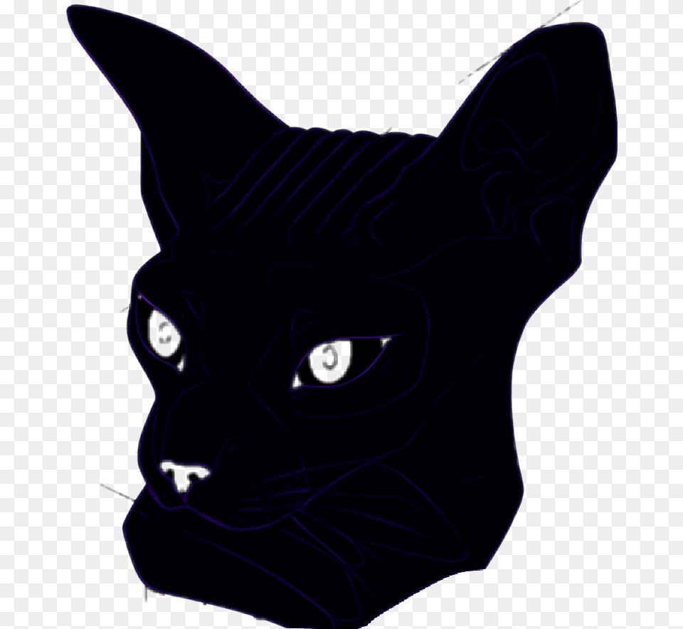 Neon Cat Sphynx Head Purple Sticker Violet Glow Remixit Black Cat, Animal, Mammal, Pet, Egyptian Cat Png