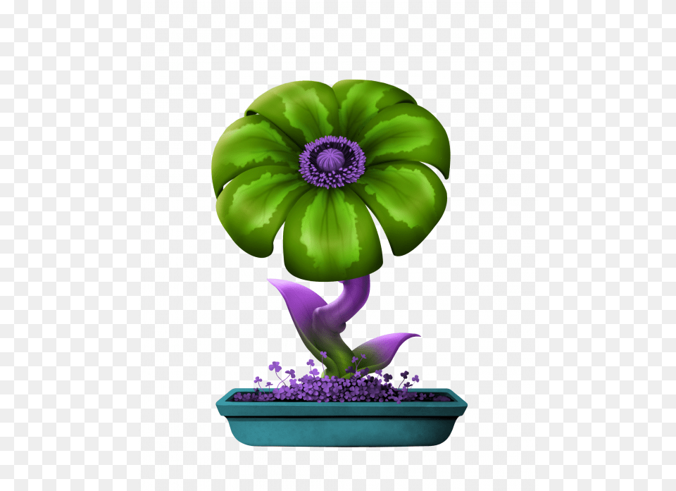 Neon Disco Ball Flower, Flower Arrangement, Plant, Potted Plant, Tree Free Transparent Png