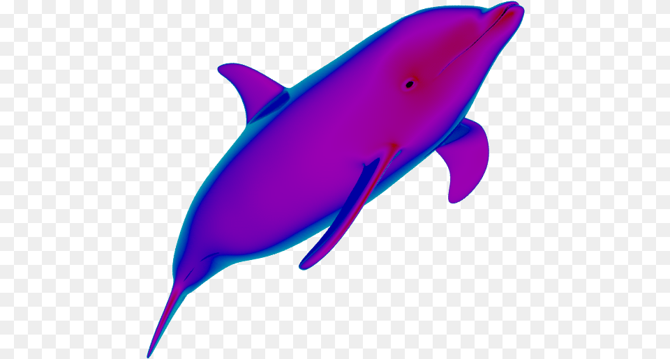 Neon Dolphins Are Cute Transparent Background Dolphins Animated Gif, Animal, Dolphin, Mammal, Sea Life Free Png Download