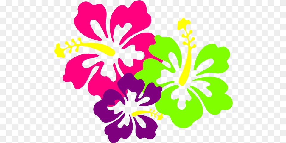 Neon Flower Hibiscus Clip Art, Plant Png Image