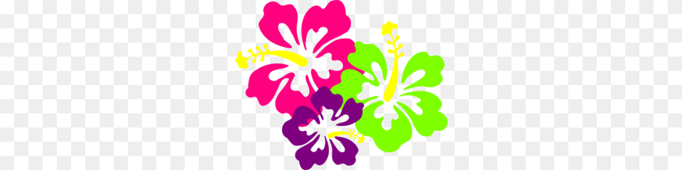 Neon Hibiscus Clip Art Emma Birthday Hibiscus, Flower, Plant, Person, Geranium Free Png Download