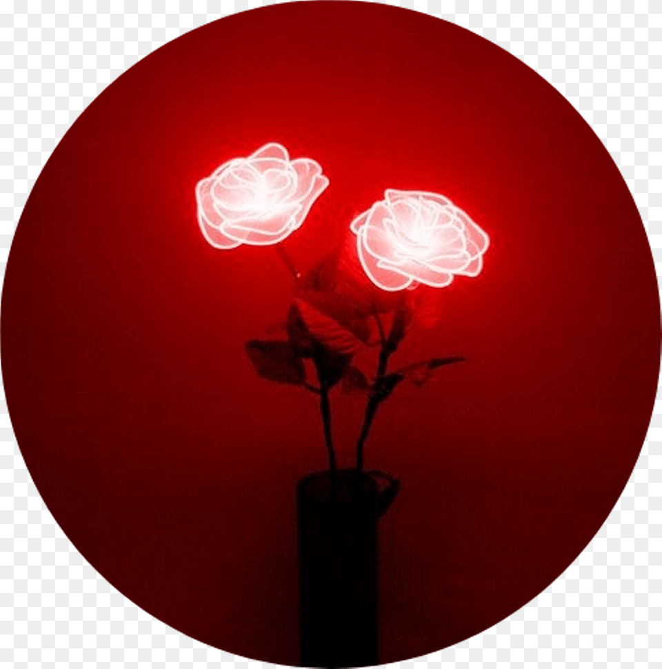 Neon Lighting Red Neon Sign Aesthetic Tumblr Red Rose, Light, Flower, Plant, Lamp Png