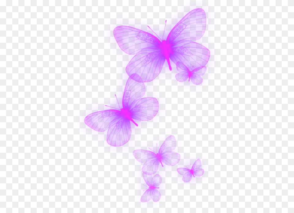 Neon Purple Lila Butterfly Schmetterling Butterfly Neon, Flower, Plant Free Transparent Png