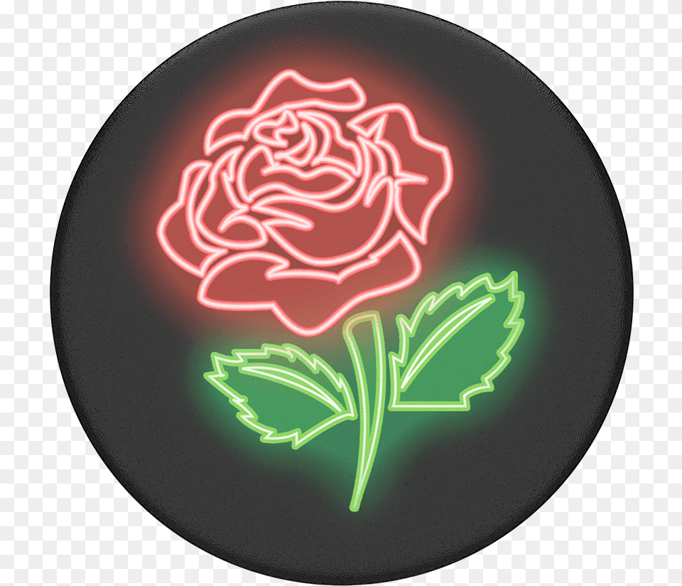 Neon Rose Popsocket, Light, Plate, Flower, Plant Free Png Download