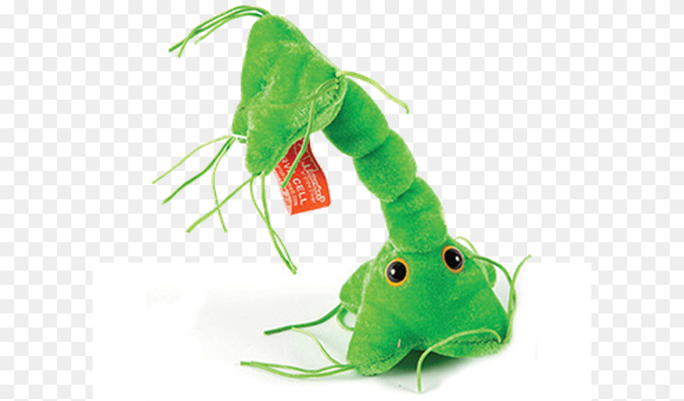 Nerve Cell Weird Funny Gags Gifts Stuff Neuron, Green, Plush, Toy, Animal Free Transparent Png