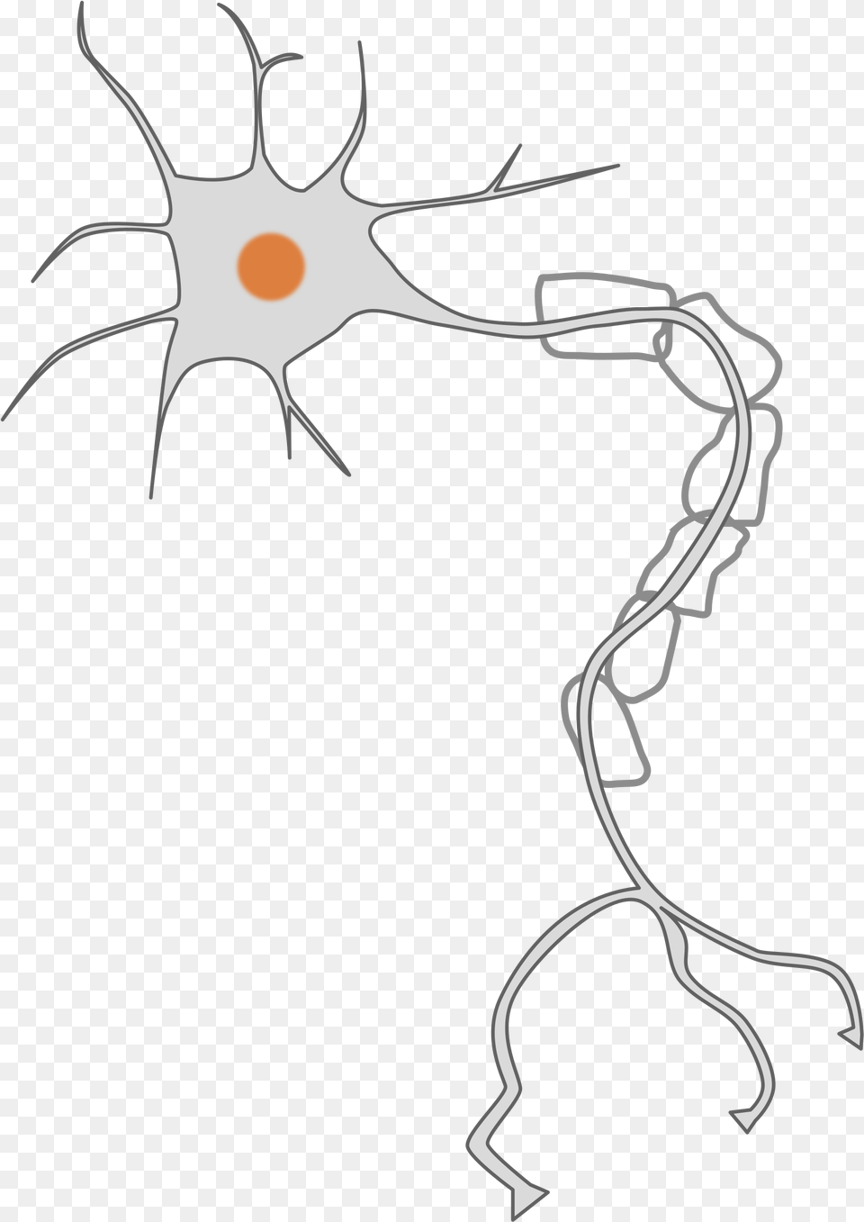 Nervous Clipart Transparent Neuron Clipart, Stencil, Animal, Kangaroo, Mammal Png