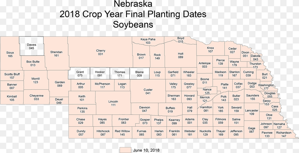 Nesoybeans Final Number, Text, Blackboard Free Png