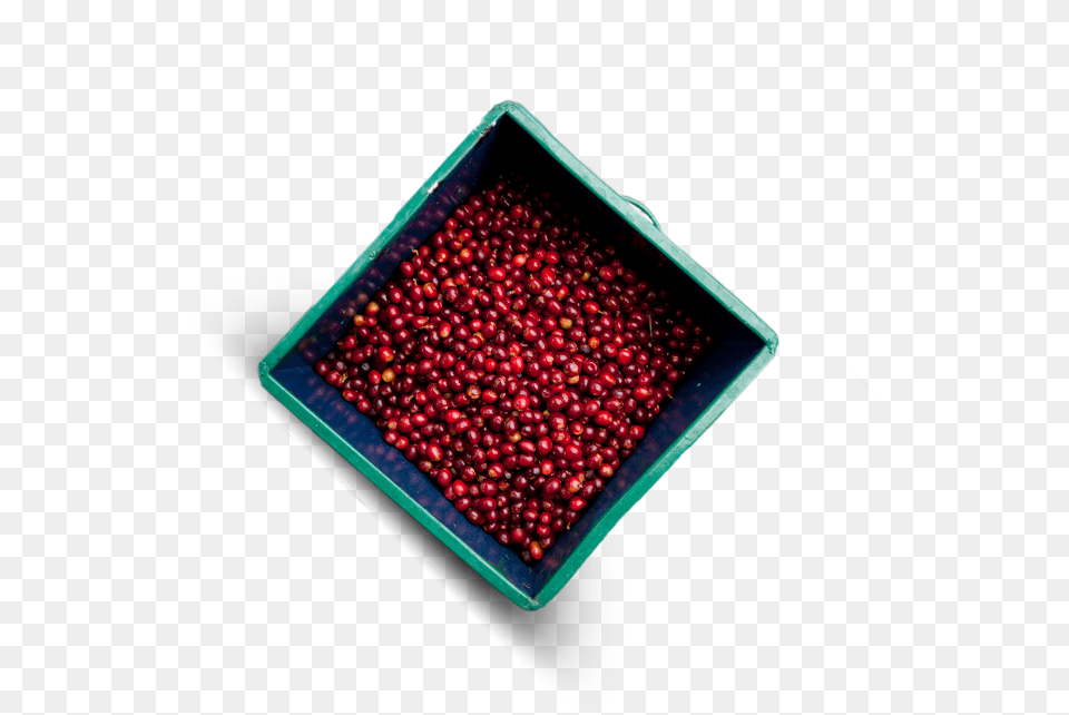 Nespresso Uses Ripe Cherries With Optimum Bean Density Bead, Food, Fruit, Plant, Produce Free Png