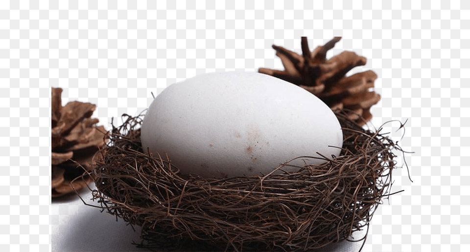 Nest, Egg, Food Free Png