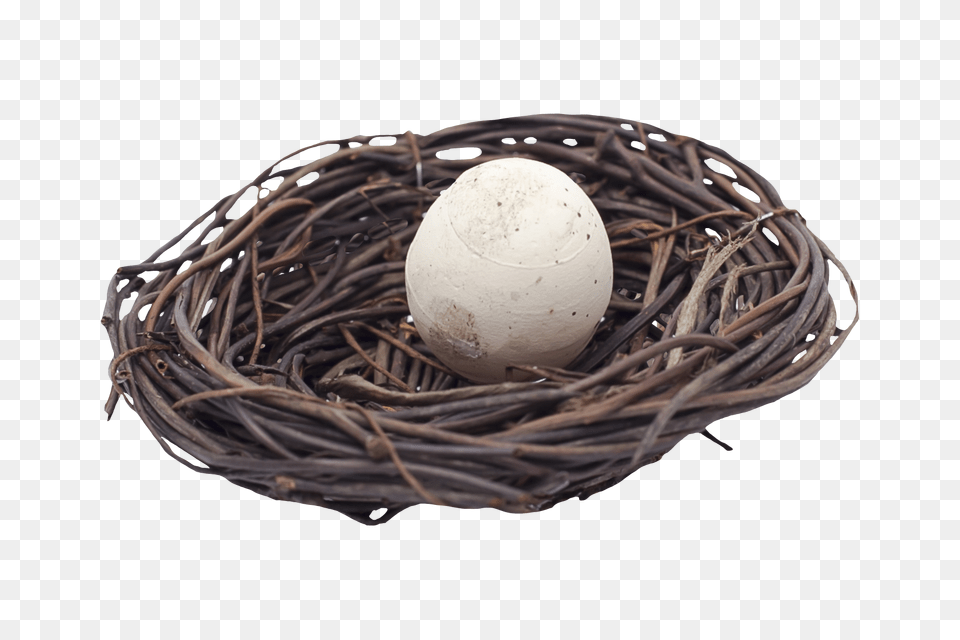 Nest, Egg, Food Free Png