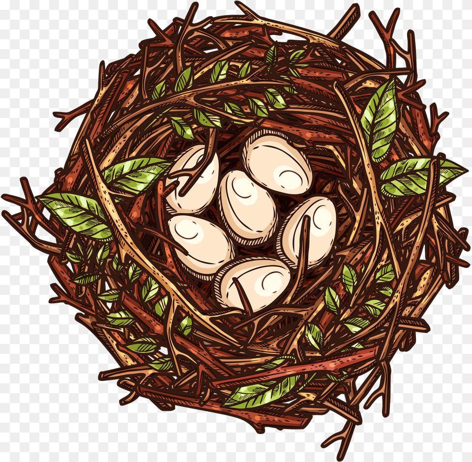 Nest Png