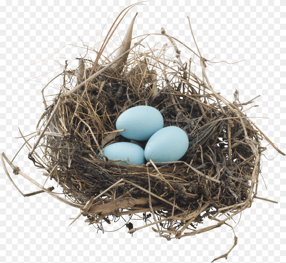 Nest Png