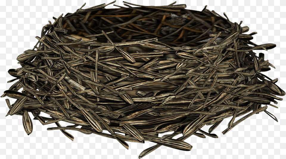 Nest Free Png