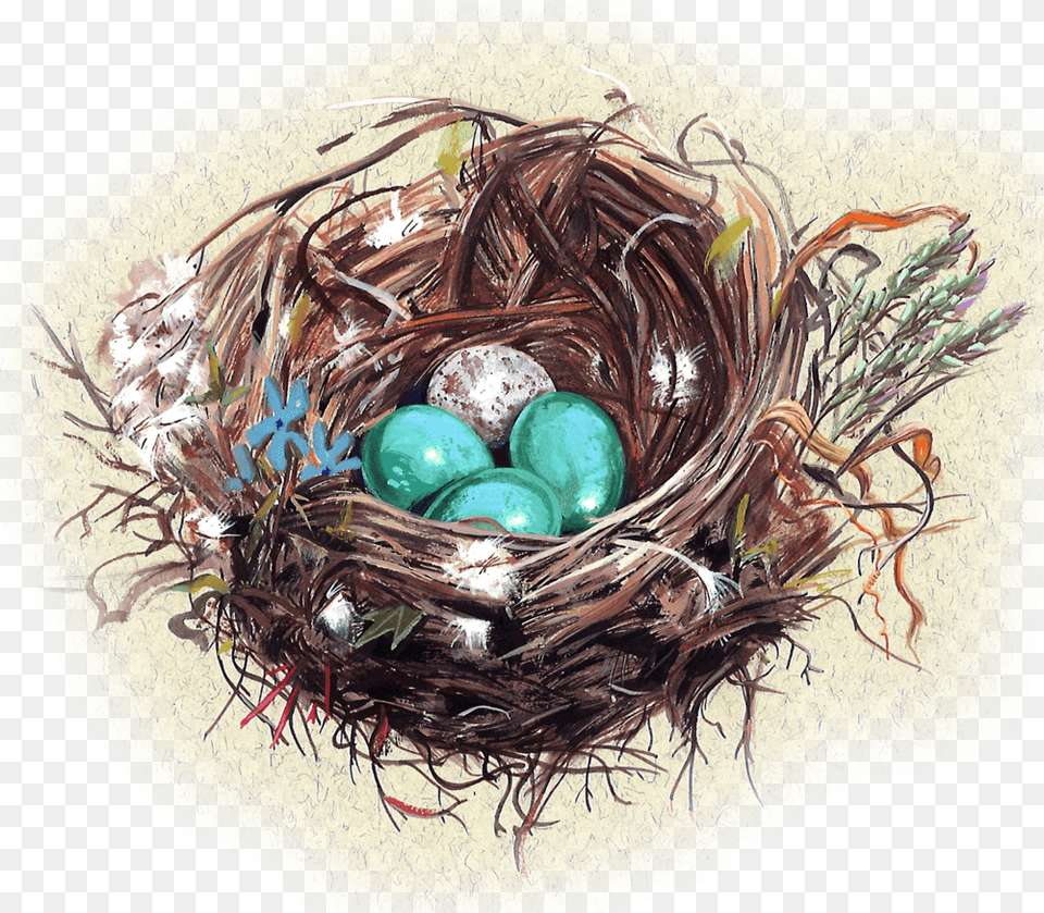 Nest, Person Free Png