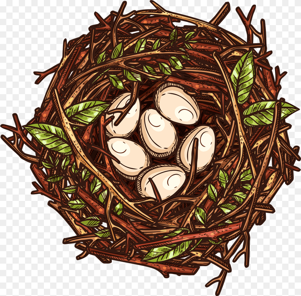 Nest Png Image