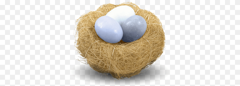 Nest, Balloon, Egg, Food Free Png