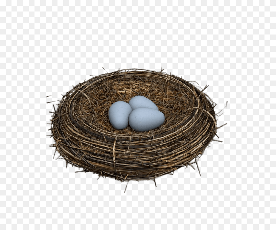 Nest, Egg, Food Png Image