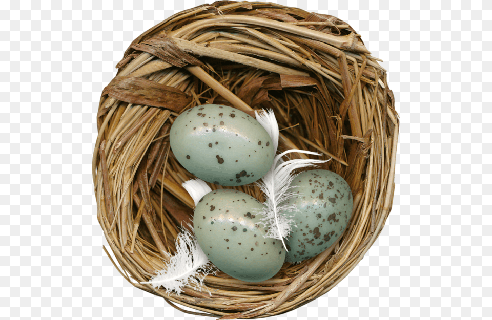 Nest, Egg, Food Png Image