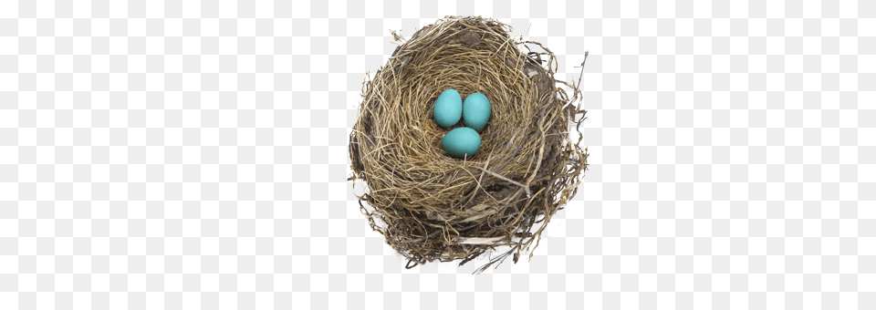 Nest, Egg, Food Free Png