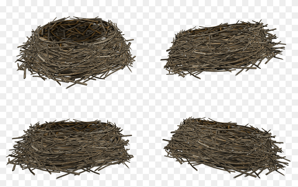 Nest, Countryside, Nature, Outdoors, Straw Free Png