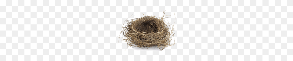 Nest Free Png