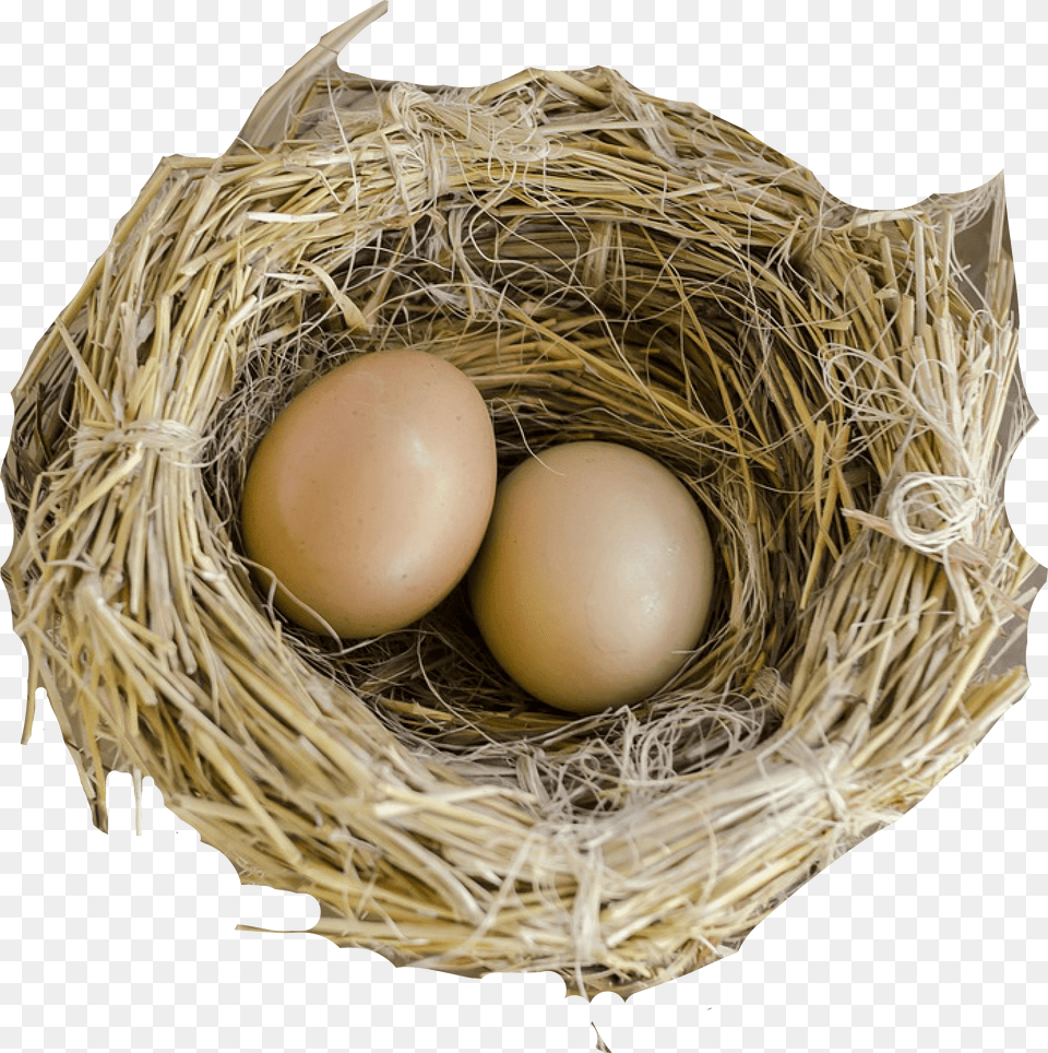 Nest, Egg, Food Free Transparent Png