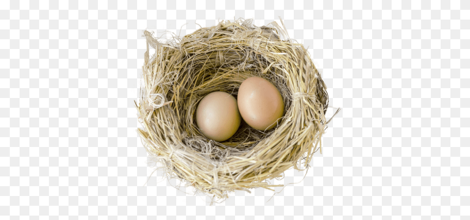 Nest, Egg, Food Free Png
