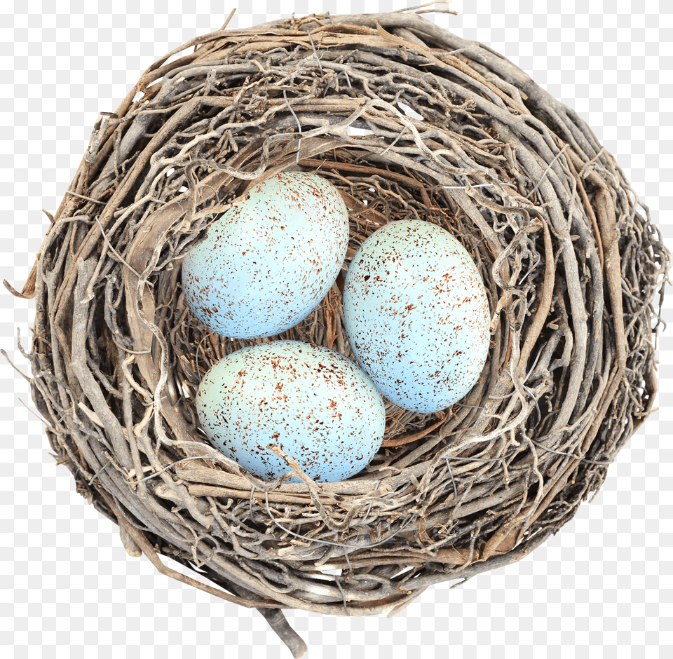 Nest, Egg, Food Free Transparent Png