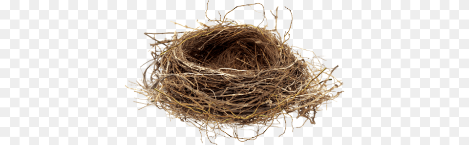 Nest Free Transparent Png