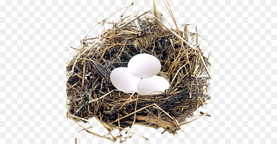 Nest, Balloon Png Image