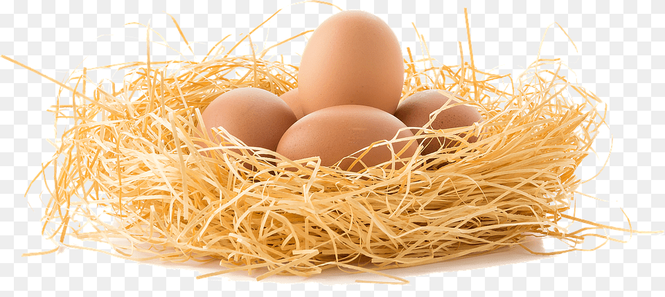 Nest, Egg, Food, Noodle Png