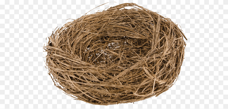 Nest Png Image