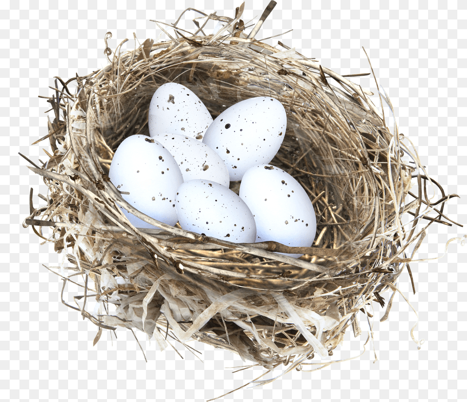 Nest, Egg, Food Free Transparent Png