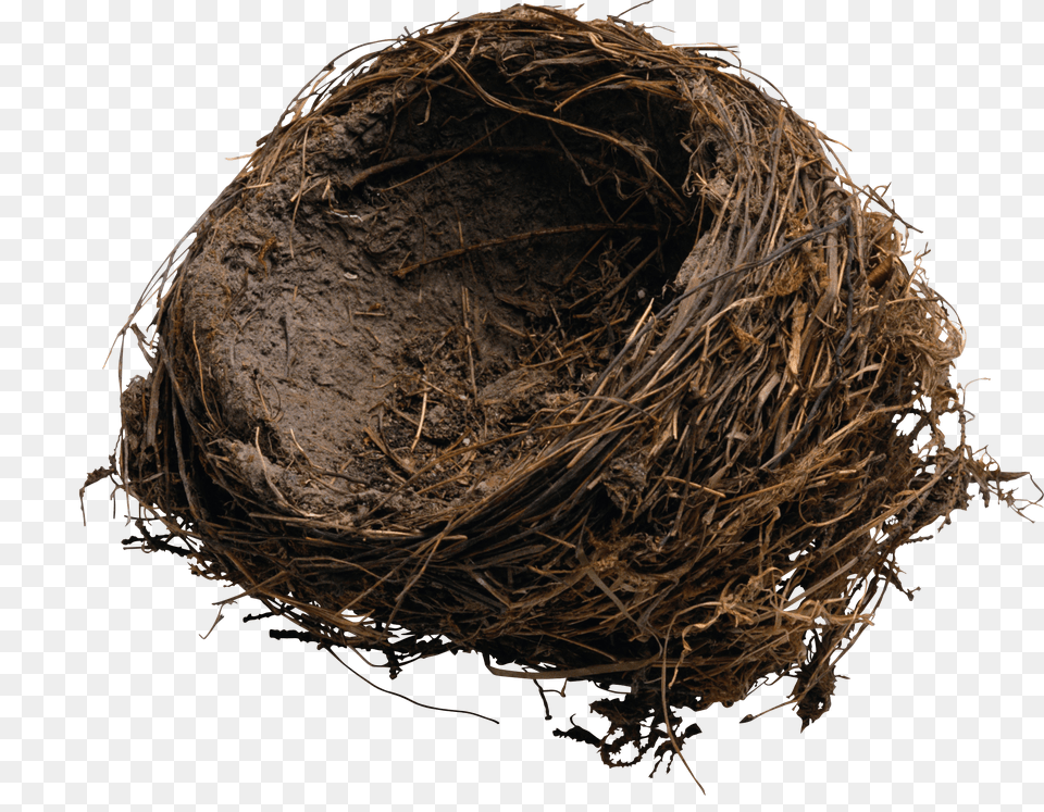 Nest Png