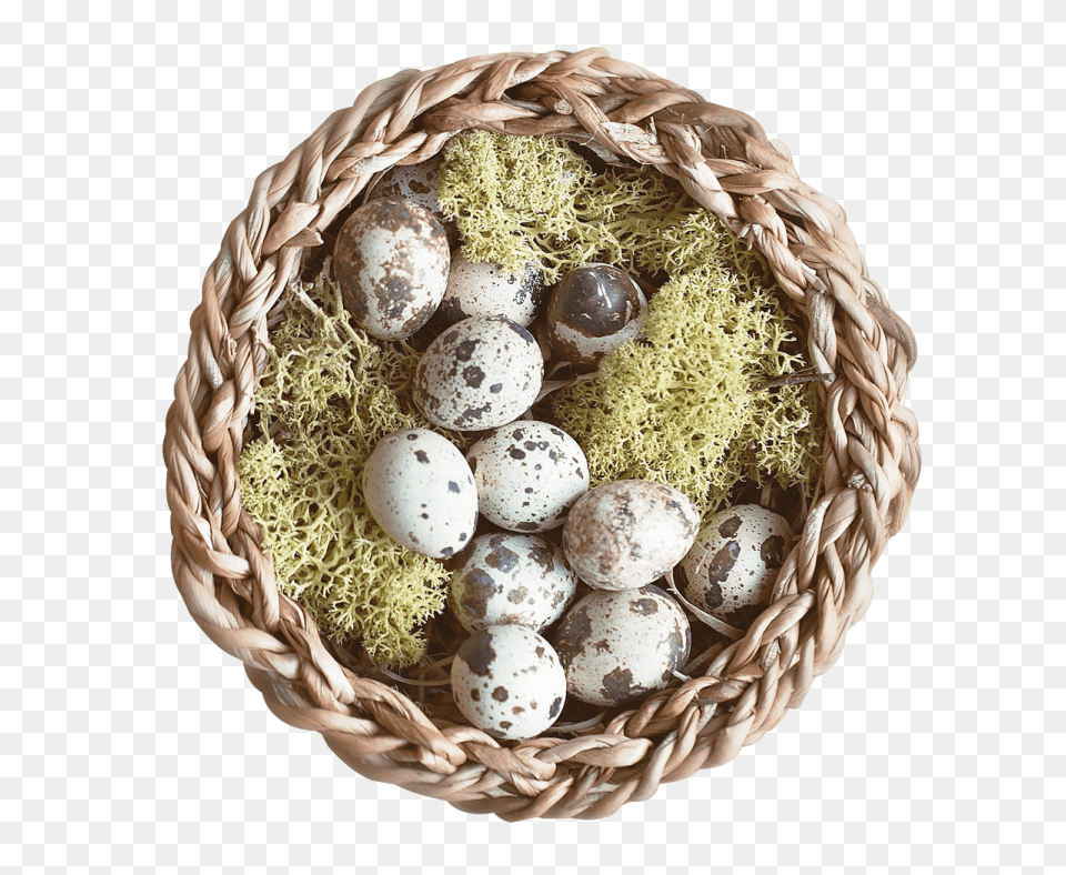 Nest, Egg, Food Png Image