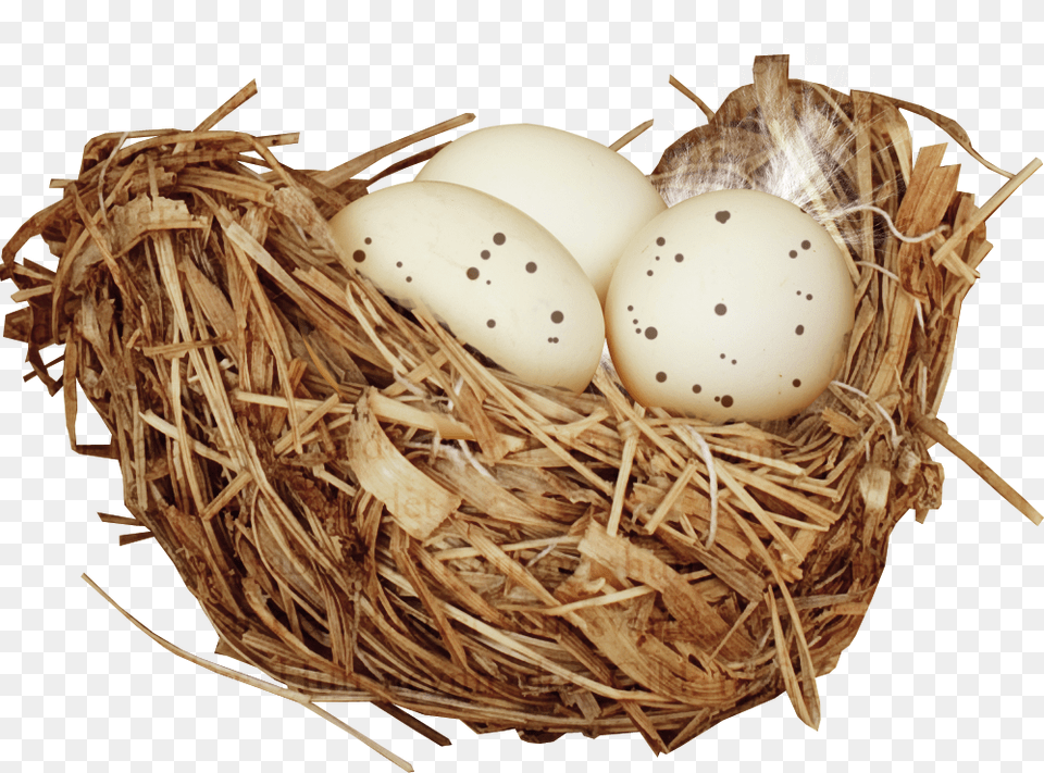 Nest, Egg, Food Free Png Download