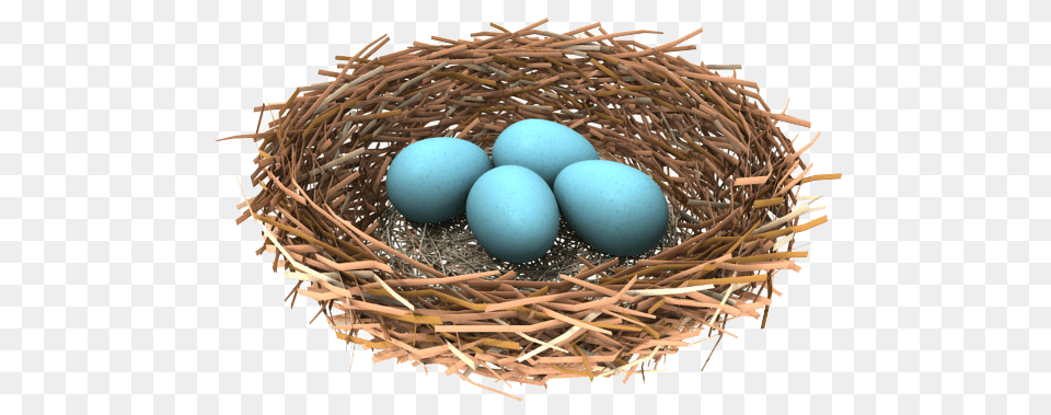 Nest, Egg, Food Free Png Download